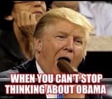 trump loves black cock