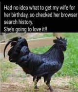 black cock