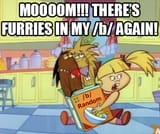 furries in my b
