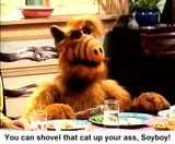 soyboy