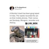 lizard
