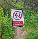 IMG_20250627_141138154~2