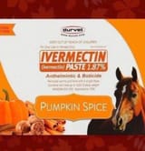 pumpkin_spice_horse_paste