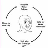 vicious circle of woke culture moves to new city creates same