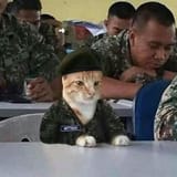 mittens