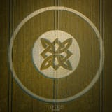 DJI_20250515163719_0009_D