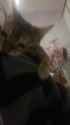 cleo_will_have_her_revenge_on_mar_thumb.jpg