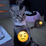 GrzeaW3XcAAf0su