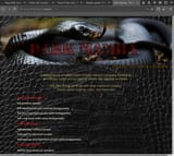 Dark net