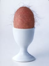 egg