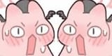 koha cat faces