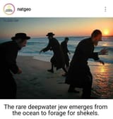 1743295615307587