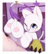 3611663_kekitopu_gatomon3