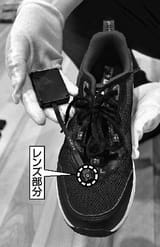shoe