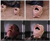 fourlaugh