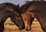 1741448834.ariesredlo_конишмониlittlr