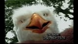 Eagleman-Insurance
