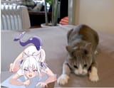 Hololive, hololive, barefoot Gawr!