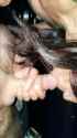 batch_process_2_thumb.jpg