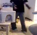 Sanyshuffle_thumb.jpg