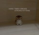 1729195739498706
