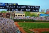 black-cocks-caption