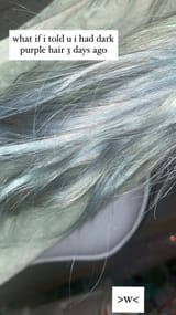 silvermar