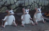 Three_Blind_Mice_Profile