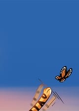 Flora hunting a butterfly - cat things 1596543542433