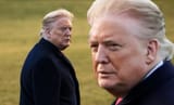 trumptan