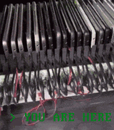 you are here