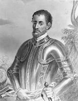 7-hernando-de-soto-rc00951