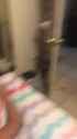 4_thumb.jpg