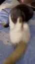 GK_thumb.jpg