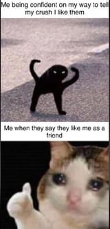 meme