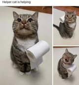 helper