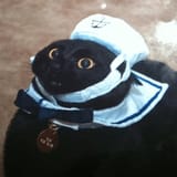kotnavydressuniform