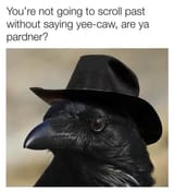 1724939013487985