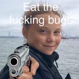 bugs