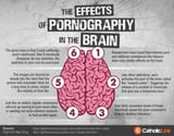 theEffectsOfPornographyInTheBrain