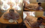 stick a fork in him