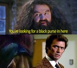 black purse harry365