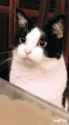 1672334594681157_gif-Na_thumb.jpg