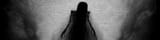 queen_of_shadows