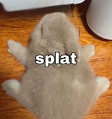 GsyNcBRXEAANghP