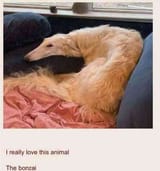20221113_171755