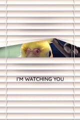 Voyeur