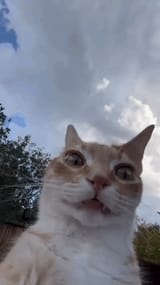1725061020991803