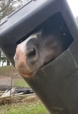 68046451410540