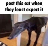 SPOILER_IMG_0799